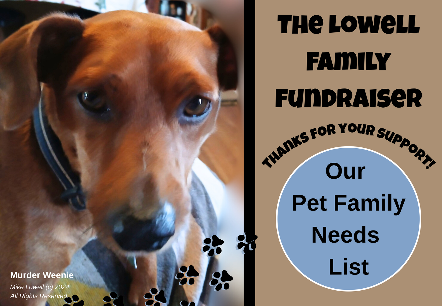 The Lowell Family Fundraiser | Pet Family Needs List