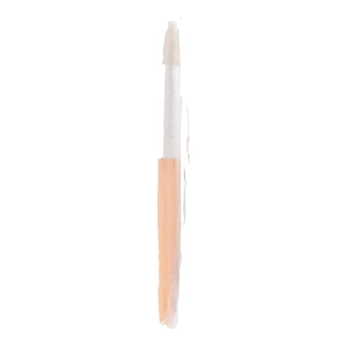 Anezus Large Chubby Paint Brushes Round and Flat Preschool Paint Brushes for Washable Paint Acrylic Paint For Toddler , 10Pcs