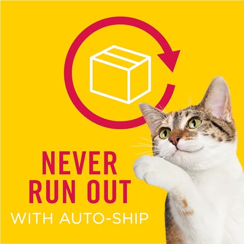 Purina Friskies Lil’ Soups Lickable Cat Treats Toppers with Sockeye Salmon in Chicken Broth, Grain Free Cat Food Toppers, Pack of 8, 1.2 oz Cups